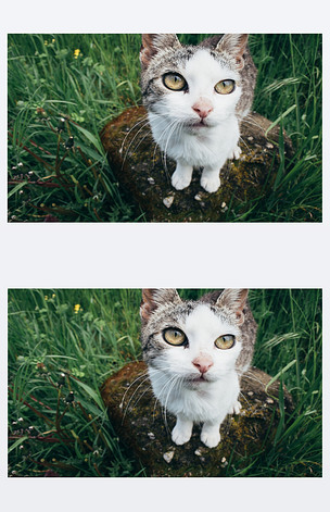 猫看手机版下载通达信犀利看盘版面-第1张图片-亚星国际官网