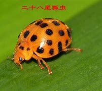 ellojump安卓版叫什么的简单介绍-第1张图片-太平洋在线下载