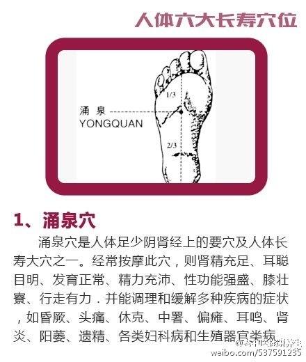 长寿圈客户端长寿圈客户端下载-第2张图片-太平洋在线下载